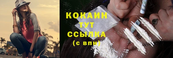 дживик Алексин