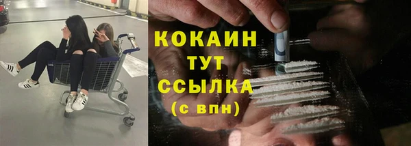дживик Алексин