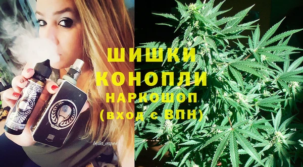 дживик Алексин