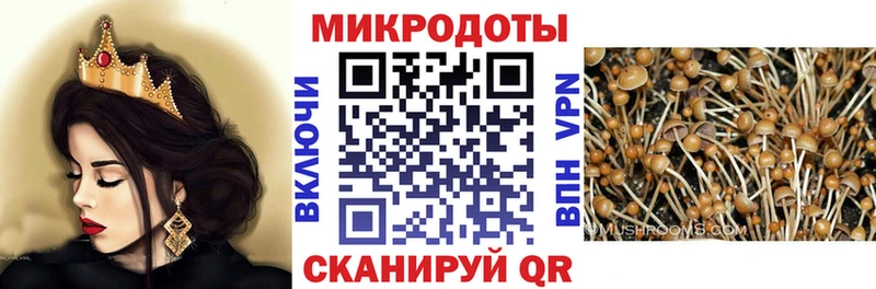 гидра сайт Майкоп Псилоцибиновые грибы GOLDEN TEACHER